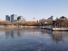 -莲花池公园