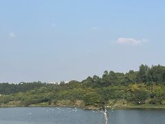 -广东花都湖国家湿地公园