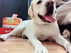 -万达广场(南京江宁店)