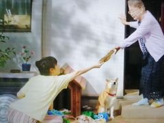 -学习谷日语培训日本留学·多语种外语教学(海淀人大分部)