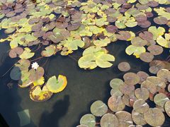 -尚贤河湿地