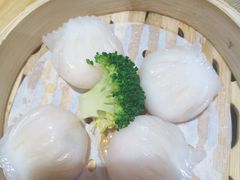 -珍宝粤赏里(杏坛店)