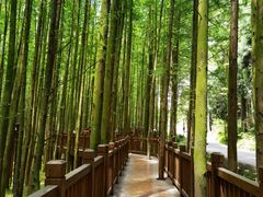 -山王坪喀斯特国家生态公园