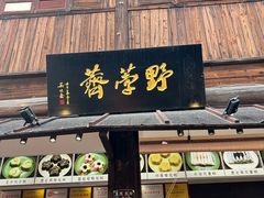 -野荸荠