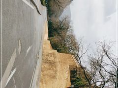 -延安杨家岭革命旧址