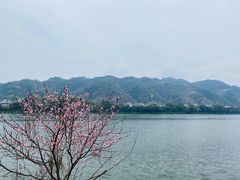 -新安江山水画廊风景区