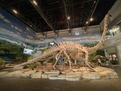 -自贡恐龙博物馆