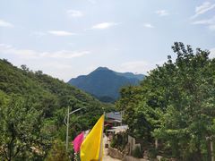 -大岭沟猕猴桃谷风景区