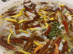 老坛子酸菜鱼-太二酸菜鱼(沈阳万象城店)