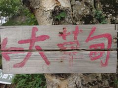 -白草畔自然风景区