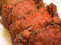 -苏小柳点心·手作小笼包(浦东嘉里城分院)