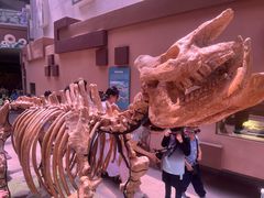 -陕西自然博物馆