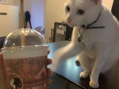 -Doors独立剧情密室(东门分店)