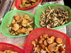 -南坛综合农贸市场