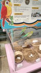 -酷嗒动物文化乐园(cutezoo西溪乐天城店)