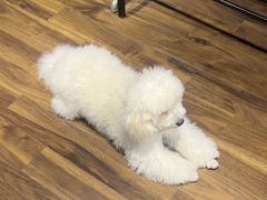 -NRG 健身私教CLUB(云山路店)