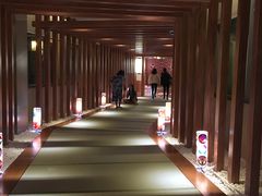 -重庆南山海昌汤都