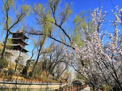 -迎泽公园