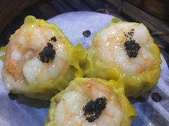 -糖朝(尖沙咀店)