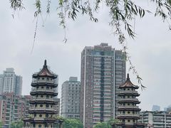 -宝岛公园