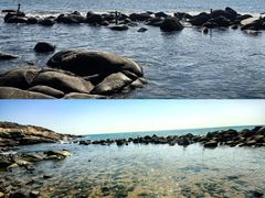 -广东惠东海龟国家级自然保护区