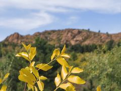 -红山国家森林公园