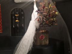 -滇野云南野生菌餐厅(陕西南路店)