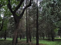 -月坛公园