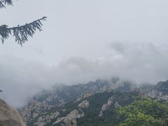 -崂山巨峰游览区