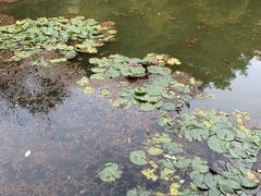 -金龙寺国家森林公园