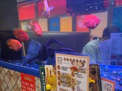 -新辉港式茶餐厅(北栅店)