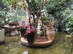 -海韵人家.海景花园经典云南菜(双廊店)
