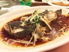 -锦江都城闵行饭店
