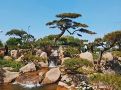 -罗红摄影艺术馆