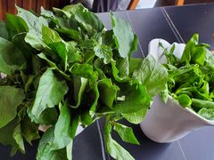 -野菌皇海景野生菌火锅(滨海大道店)