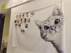 -艾吉宠物医院·疑难杂症转诊中心·猫友好(碧江路院)