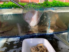 -蟹谢蒸鲜自助餐厅