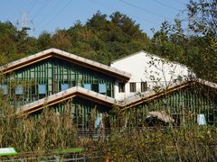 -西湖风景区-江洋畈生态公园
