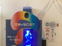 -大阪儿童乐园