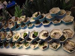 -喜多鲜生海鲜自助(无锡旗舰店)