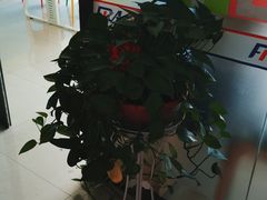 -凡恩机器人编程(亲贤活动中心)