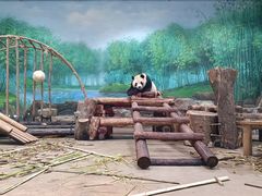 -杭州动物园
