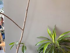 -dotcom coffee古点咖啡(致真大厦店)