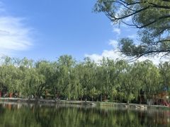 -青城公园