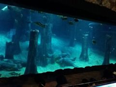 android_upload_pic-河川生态园