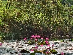 -华南国家植物园-售票处