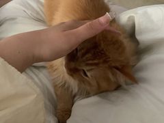 -北京恒爱动物医院(清景园分院)