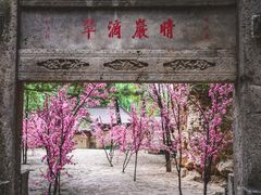 -藏山旅游风景区