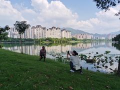 -飞来湖湿地公园