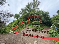 -灵山